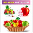 Stock Vectores – Coleccion frutas
