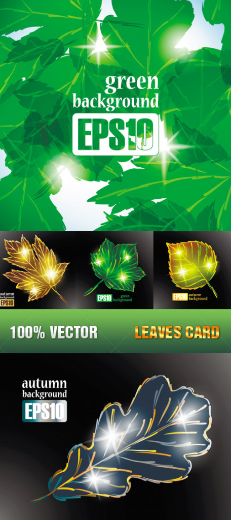 Stock Vector - Leaves - Hojas