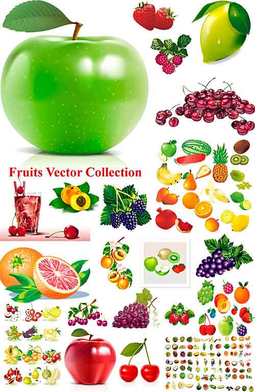Vectores Fruits & Vegetables Frutas y Vegetales