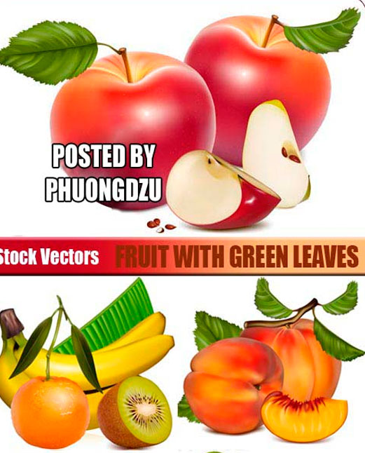Fruit with green leaves Vector