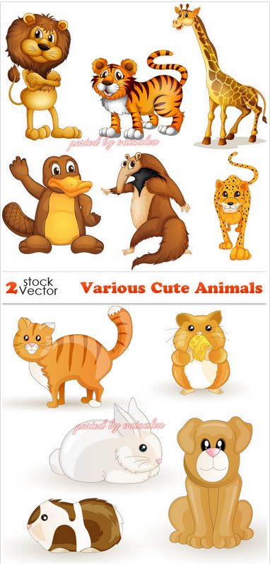 Vectors - Various Cute Animals
