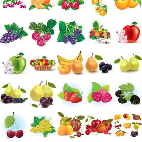 Vectores Fruit Frutas