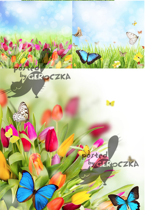 Floral meadow with butterflies